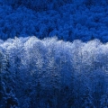 a84452059
