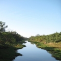 HornAmigo