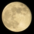 welllogo