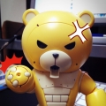 fy5555bear