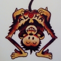 Bczhao