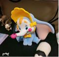 阿毛貓