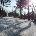 Hsin_lee