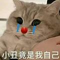 八二年的拉菲