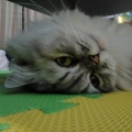 liu_hsun