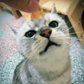 smallmin912