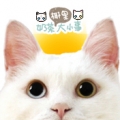 i_milktea