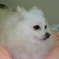 keitakeiko