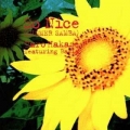 Tarosummer