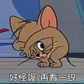 寵兒y