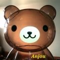 anjou1981