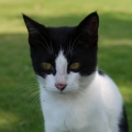 caty99