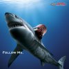 Shark-K1