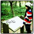 t-yun