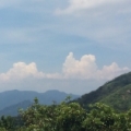 ping0921