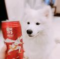 吳佩潔