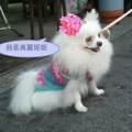yo yo 右