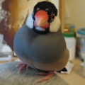 Q_疼