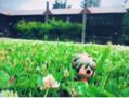 junoka