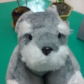 ccjeffery