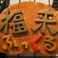 nvibia