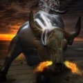 AngryCow