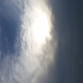 天空魚