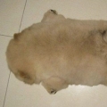 aiyonana