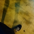 洋蔥快樂頌