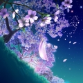 花雲蔻