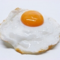 egbert27621