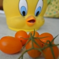 peiha