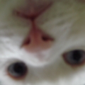 小剛剛
