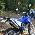 leobb1003