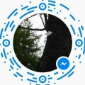 劍心san