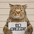 yishuhuang