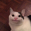 曹學