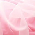 光月