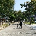 Fonlin83