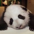 billzeng