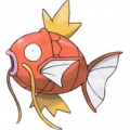 1尾
