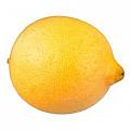 DoubleLemon