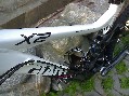 正牌豬