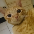 阿碰0425