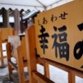 綠川祐司