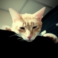 terry00719