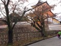蘇珊9999