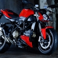 tony031337