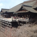 住井ピカ