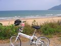 pei_2198